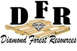 Diamond Forest Resources Inc